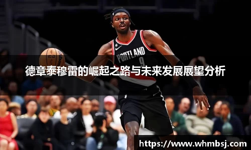 德章泰穆雷的崛起之路与未来发展展望分析