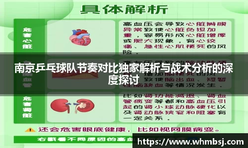 南京乒乓球队节奏对比独家解析与战术分析的深度探讨